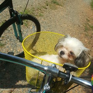 Meet your Posher, Evalayna